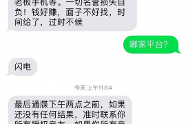 怀集专业讨债公司有哪些核心服务？